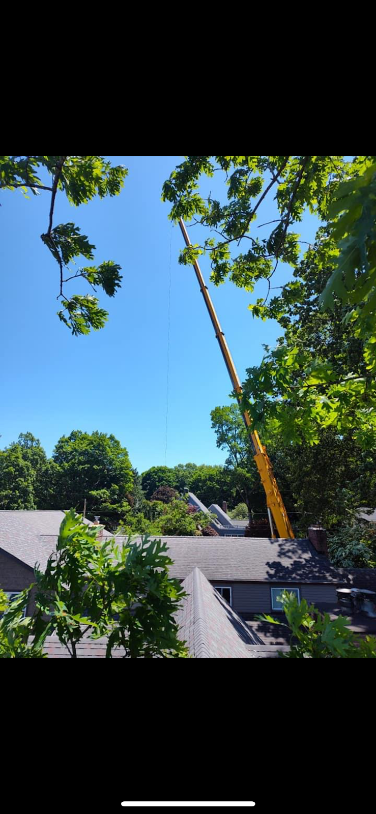 Canal Crane and Hauling project 26